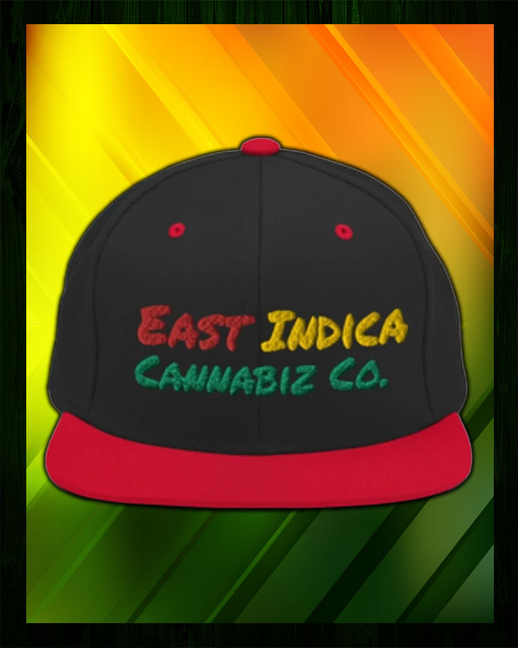 Snapback Hat