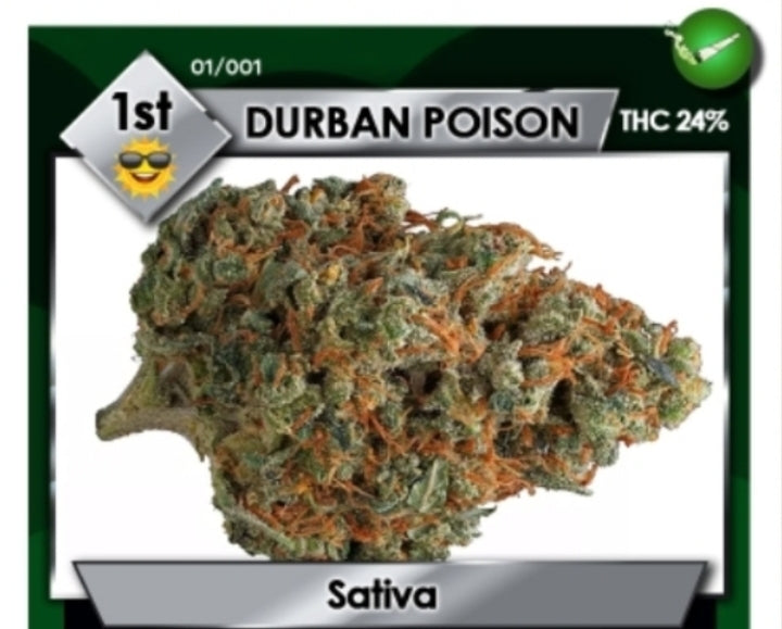 Durban Poison Deck