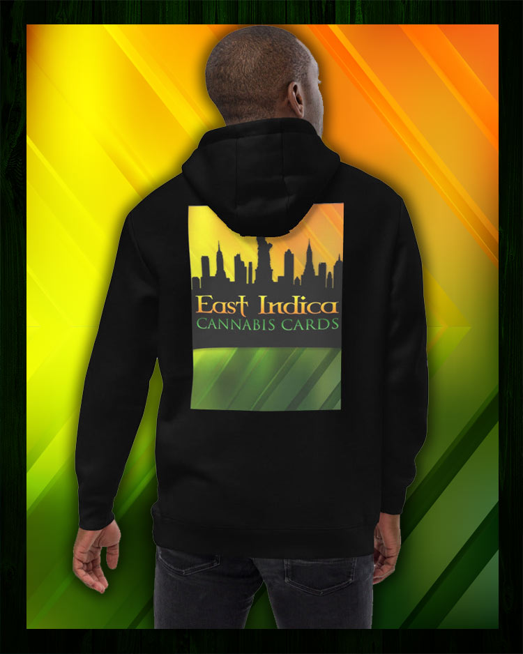 Northern Lights Unisex fashion hoodie
