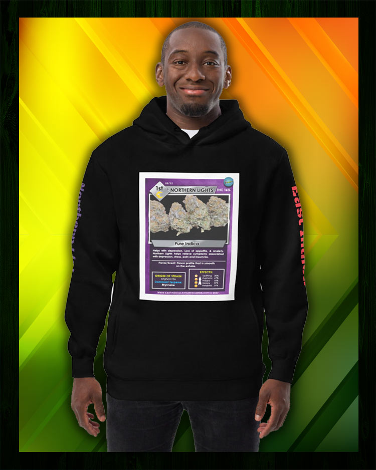 Northern Lights Unisex fashion hoodie